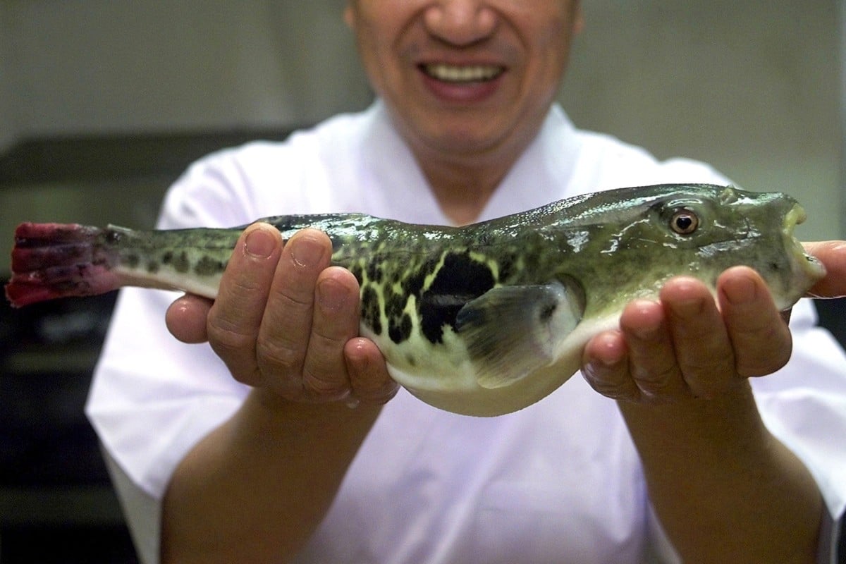 25 of the strangest ancient sea monsters