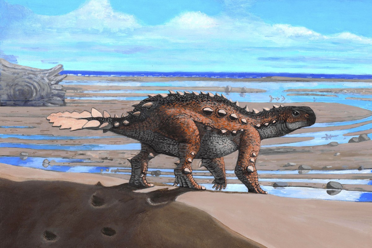 The new species, named Stegouros elengassen, was found in 2018. Photo: AP