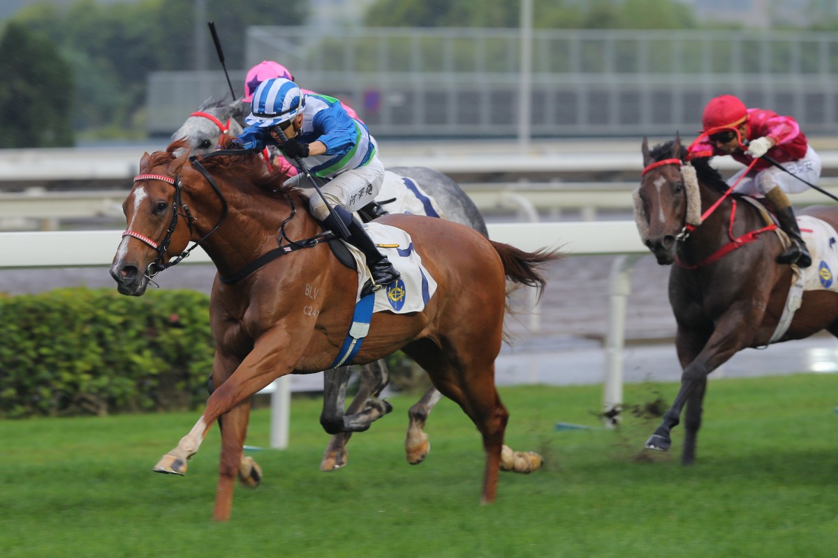 Voyage Warrior wins the 2020 Sprint Cup. Photo: Kenneth Chan