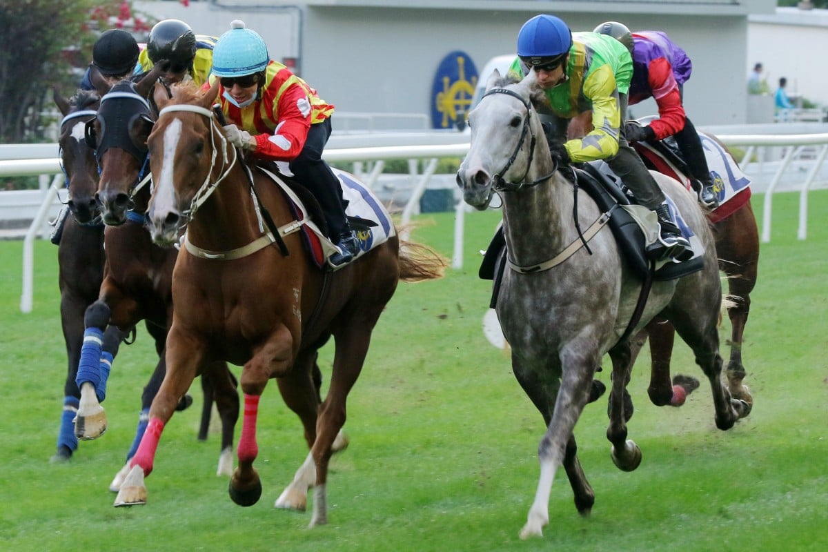 Handsome Veggie (right) runs on in a barrier trial at Happy Valley last month. Photo: Kenneth Chan