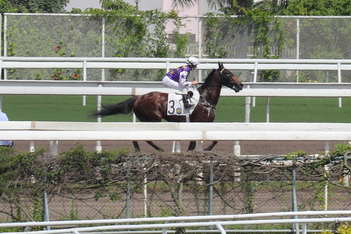 Untold Riches is pulled up early in a race at Sha Tin in July. Photos: Kenneth Chan