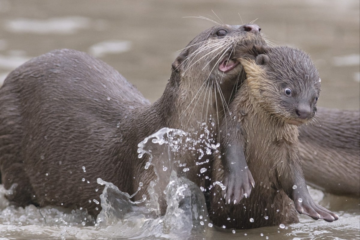 OMG mom you’re so embarrassing. Photo: Chee Kee Teo.