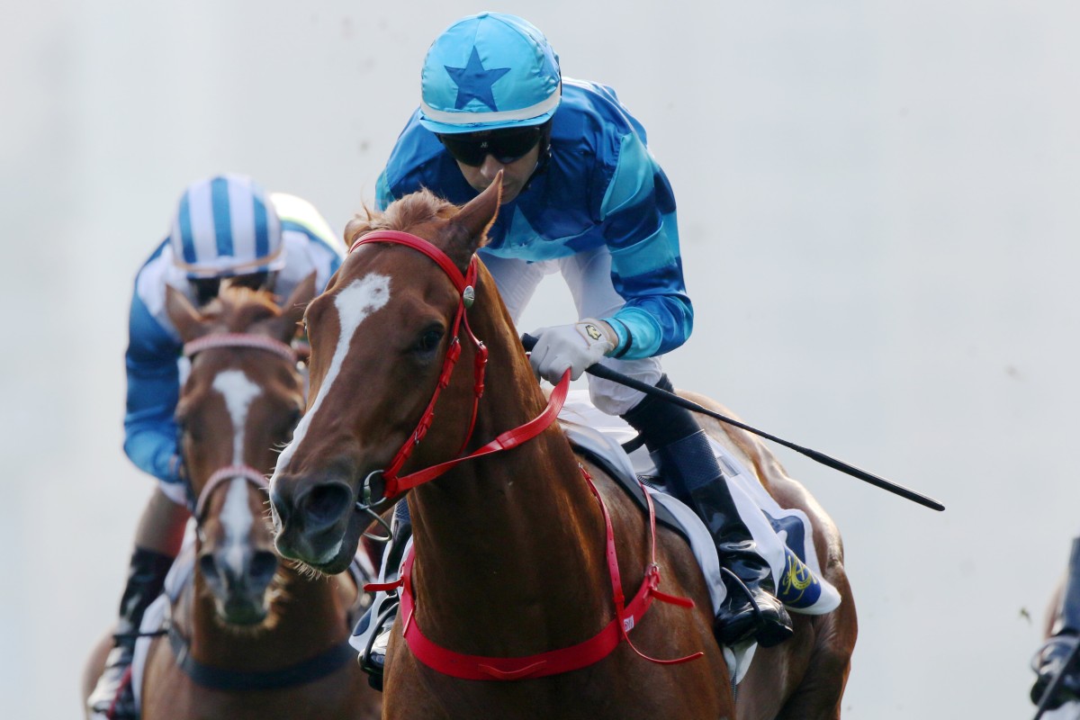 Joao Moreira guides Master Eight to victory in the Group Three Bauhinia Sprint Trophy at Sha Tin on Saturday. Photos: Kenneth Chan