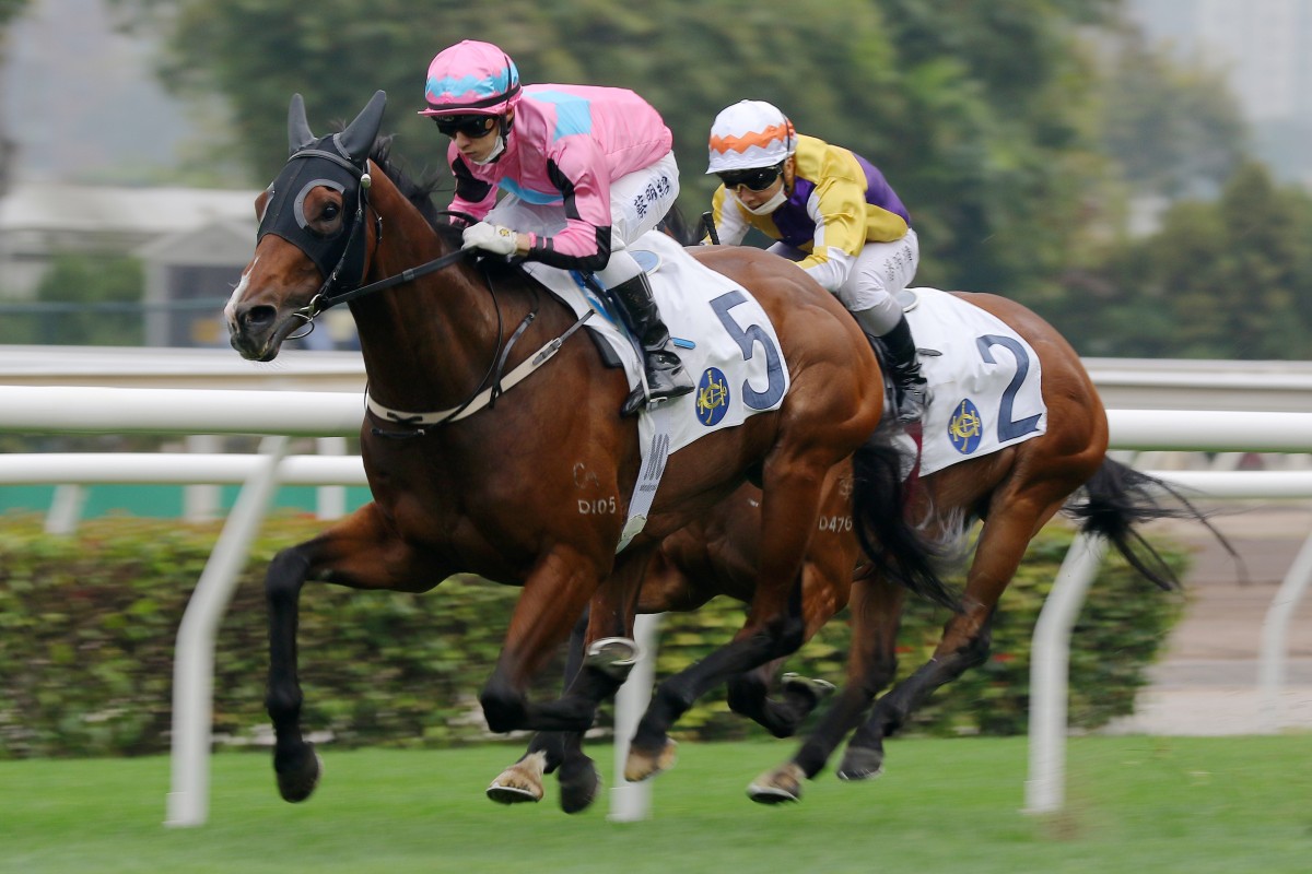 Matthew Chadwick guides Beluga to victory at Sha Tin on Sunday. Photos: Kenneth Chan