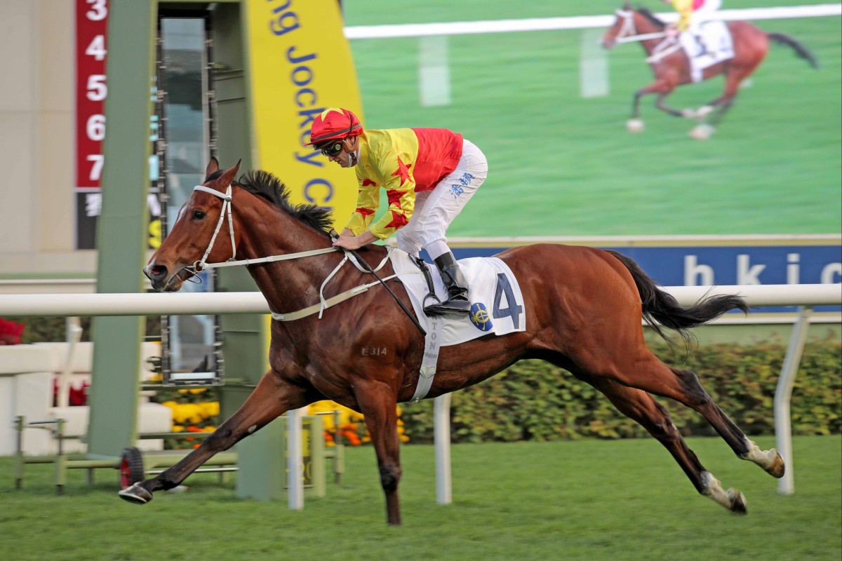 California Spangle coasts to victory at Sha Tin on Sunday. Photos: HKJC