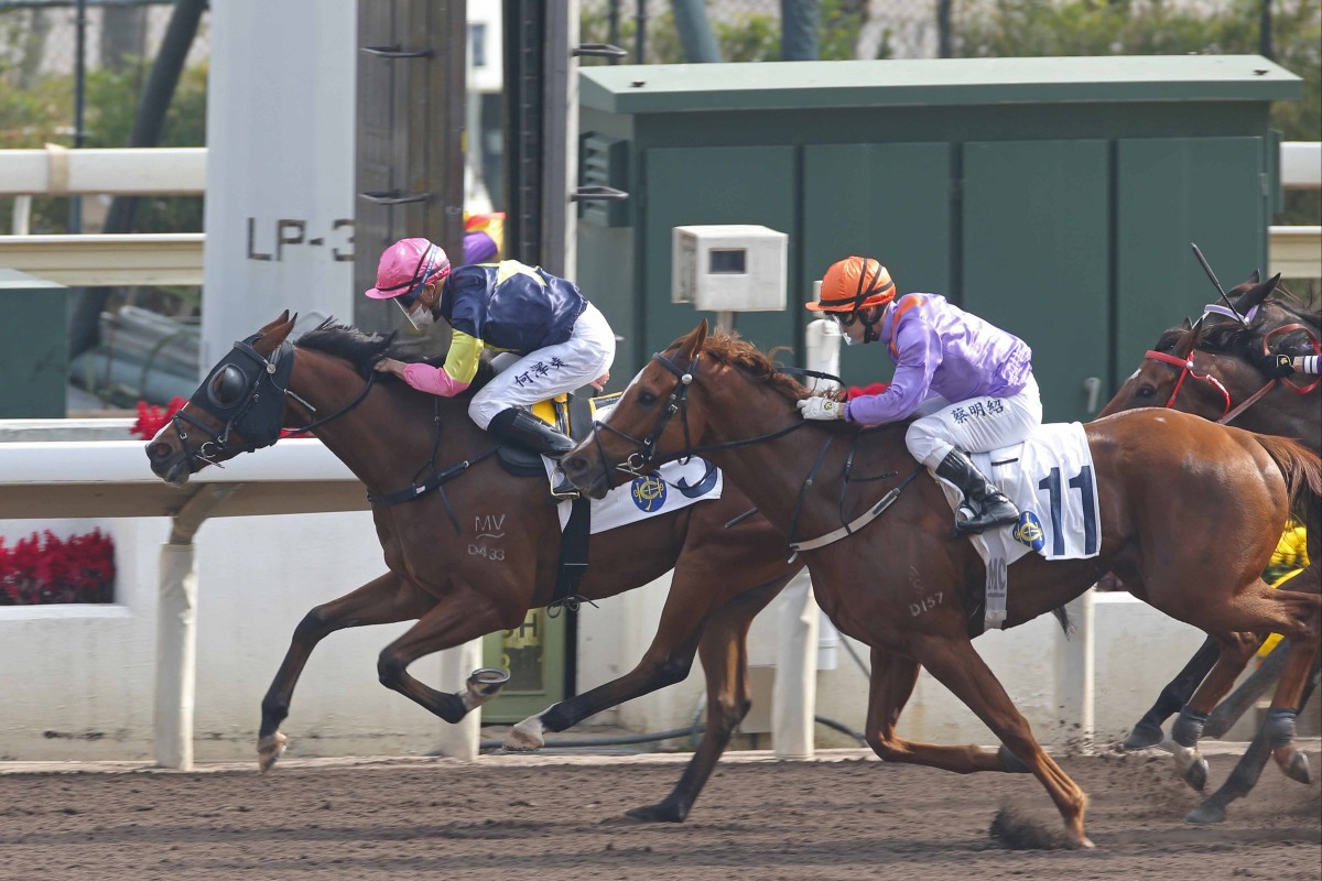 The Paul O’Sullivan-trained Apache Pass salutes under Vincent Ho at Sha Tin on Sunday. Photo: HKJC