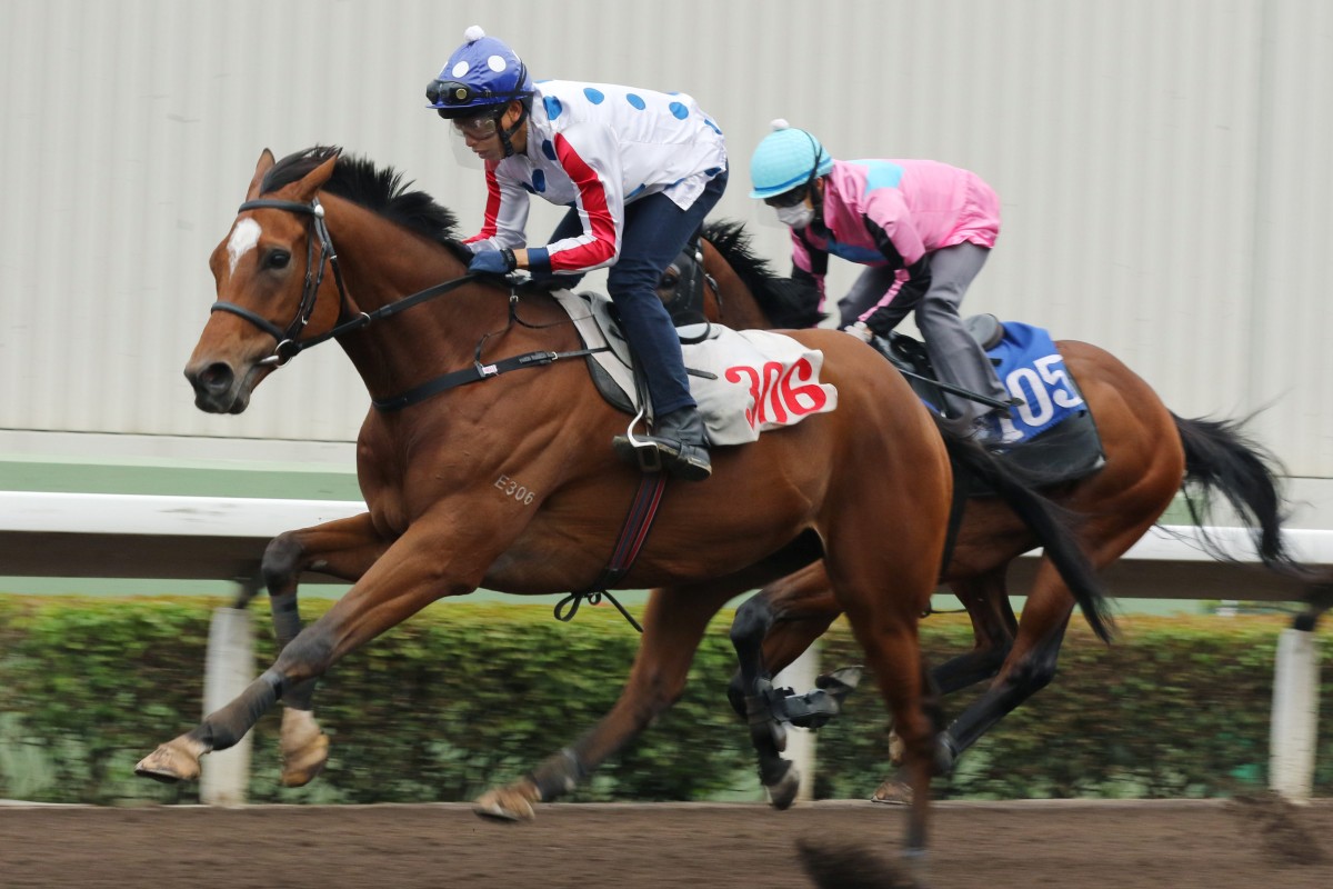 Vincent Ho trials C P Brave on the dirt at Sha Tin last month. Photo: Kenneth Chan