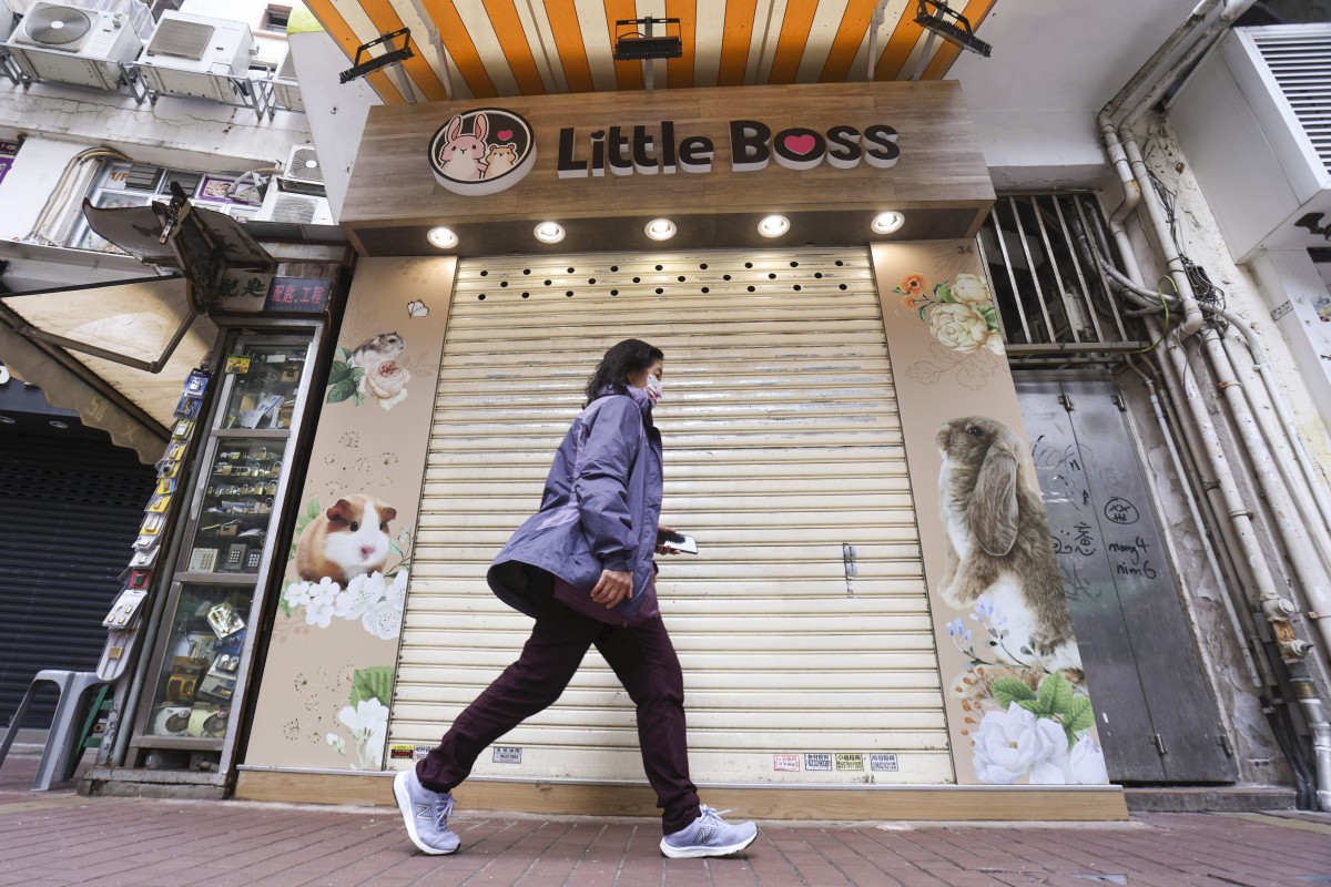 The Little Boss pet shop in Causeway Bay. Photo: May Tse
