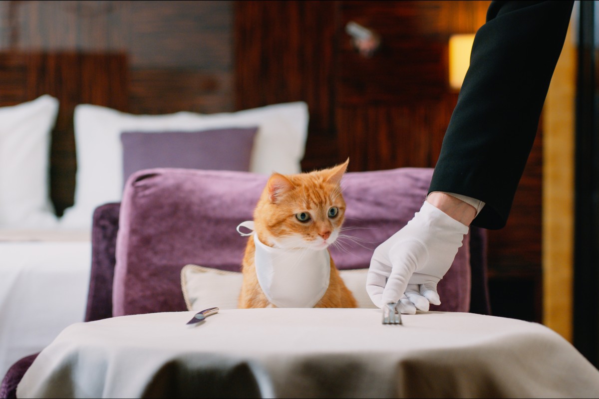 Would you choose to pamper your pet? Photo: Shutterstock