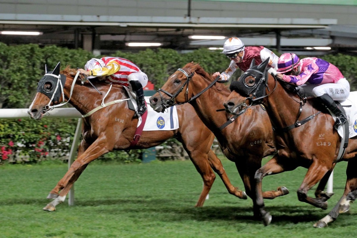 Circuit Seven holds off Forte (centre) and Pretty Queen Prawn to win the Class Four Hatton Handicap for trainer Tony Cruz. Photo: HKJC