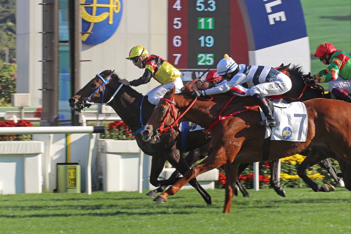 Zebrowski wins the Centenary Vase under Matthew Poon at Sha Tin on Sunday. Photo: HKJC