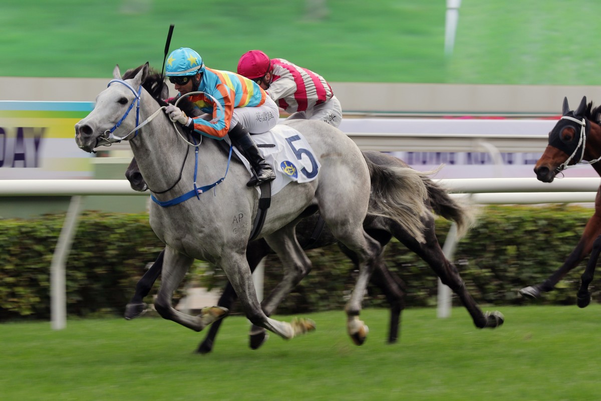 Senor Toba wins the Hong Kong Sports Institute 30th Anniversary Cup under Joao Moreira. Photo: Kenneth Chan