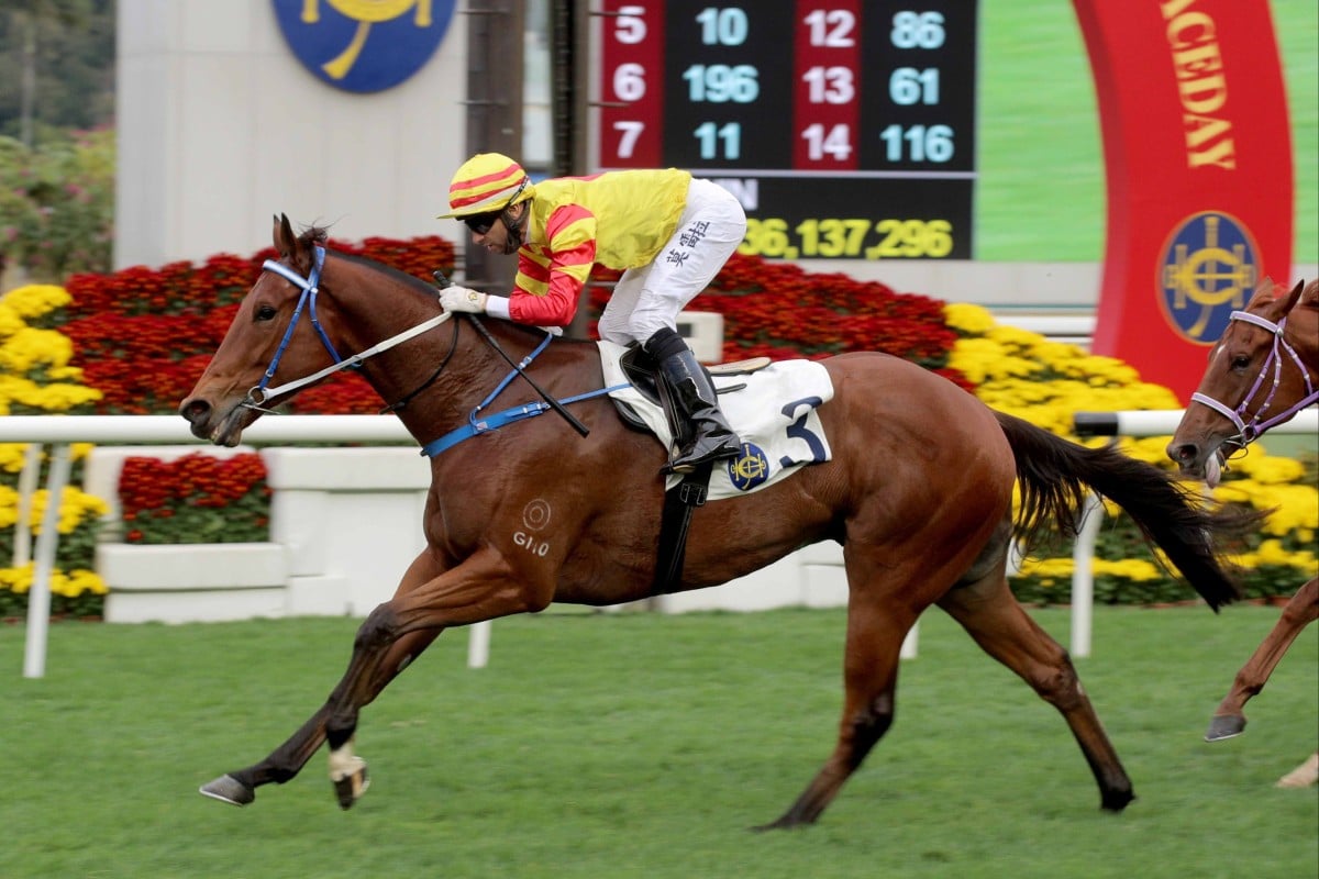 Joao Moreira partners Galaxy Witness to victory at Sha Tin. Photo: HKJC