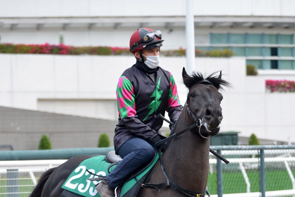 Pride Of Eight heads out to trial under Luke Currie. Photos: Kenneth Chan