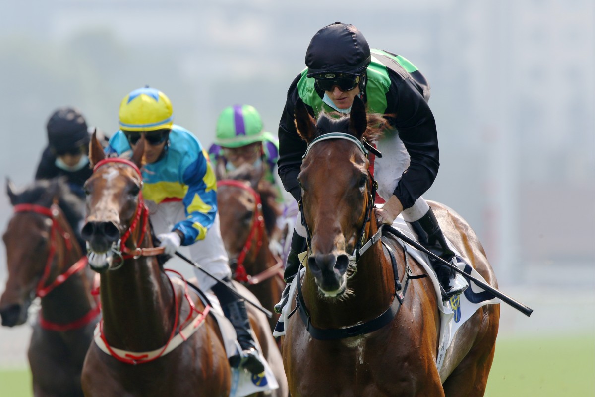 Nervous Witness wins at Sha Tin in October under Zac Purton. Photo: Kenneth Chan.