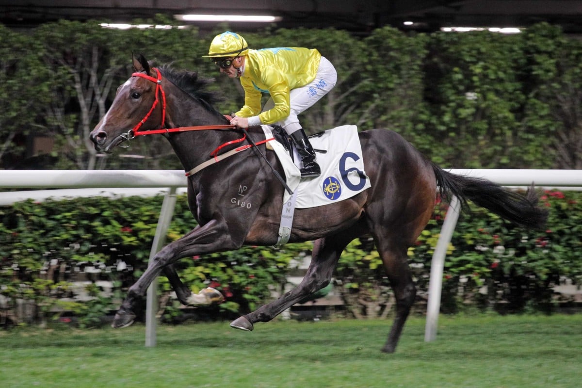 Lucky Sweynesse makes an impressive debut when winning at Happy Valley under Zac Purton. Photo: HKJC