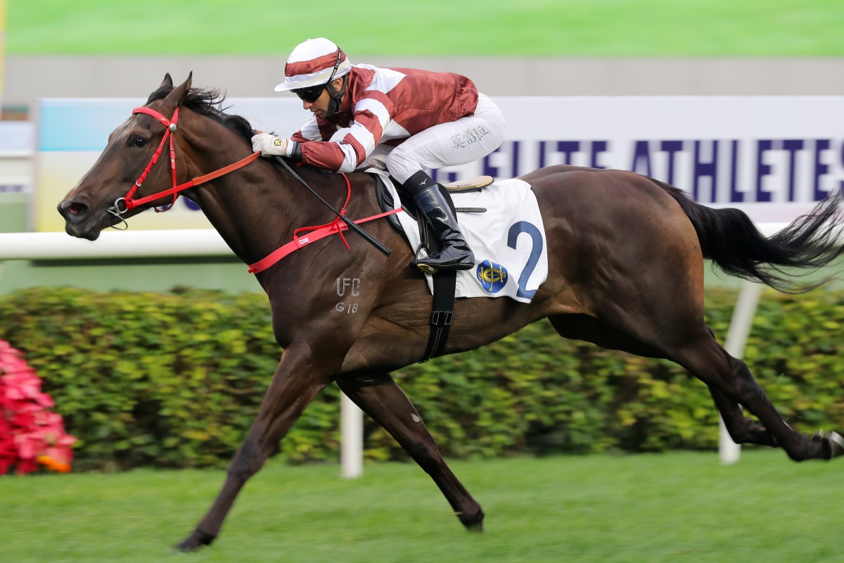 Sight Spirit comes home clear of the field under Joao Moreira at Sha Tin in December. Photo: Kenneth Chan