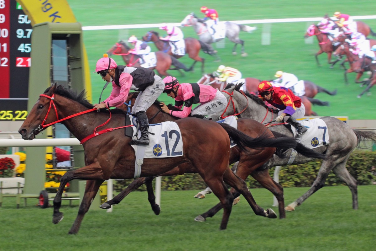 Beauty Live sprints clear of his rivals to win under Matthew Poon at Sha Tin on Saturday. Photo: HKJC