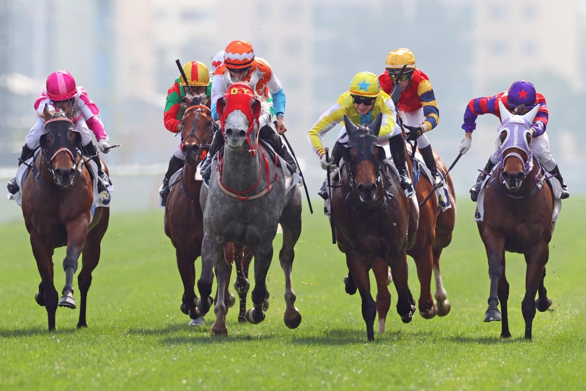Kowloon East Star (yellow and blue sleeves) trails home winner Glenealy Generals on Saturday. Photo: HKJC