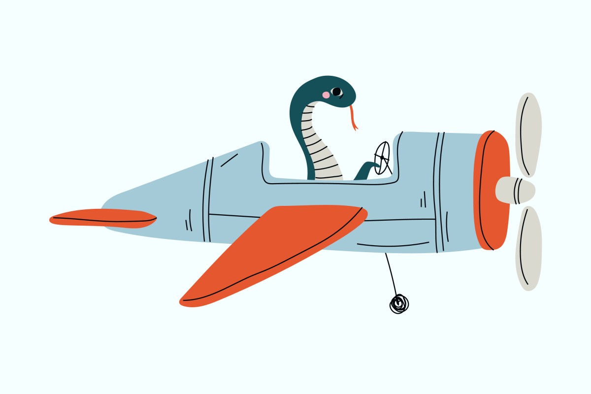 We would have been more OK with this if the snake were piloting his own cute little plane. Photo: Shutterstock