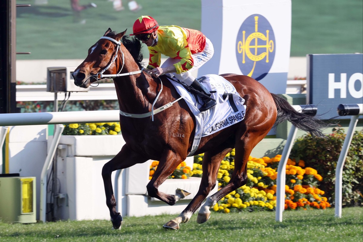 California Spangle wins the Classic Cup at Sha Tin on Sunday. Photos: HKJC