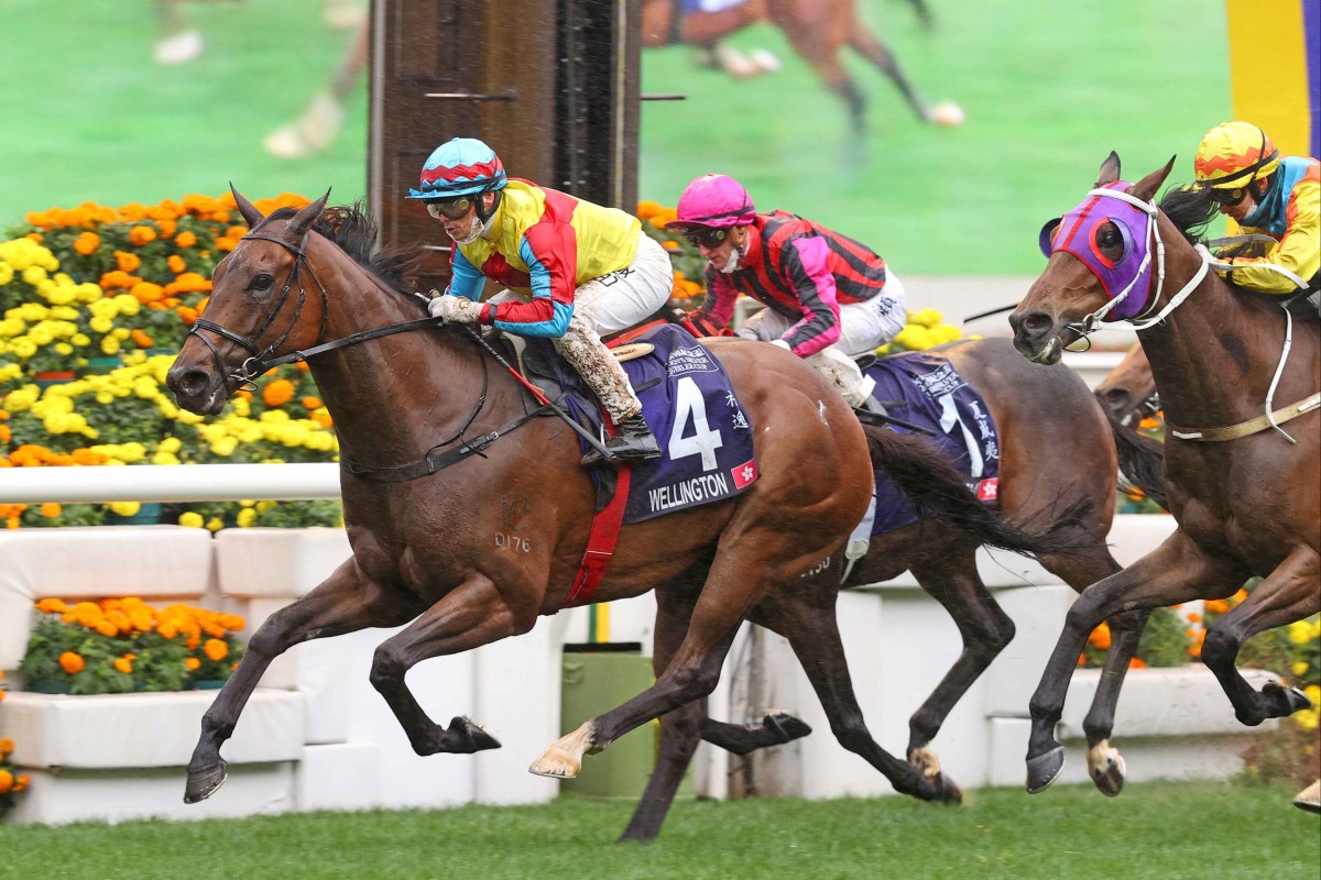 Wellington will not have any overseas raiders to overcome when he chases more Group One success on Champions Day. Photo: HKJC