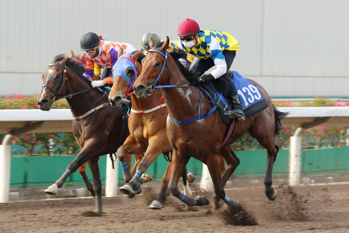 Computer Patch (right) wins a recent barrier trial and makes his first start for Jimmy Ting on Saturday. Photo: Kenneth Chan