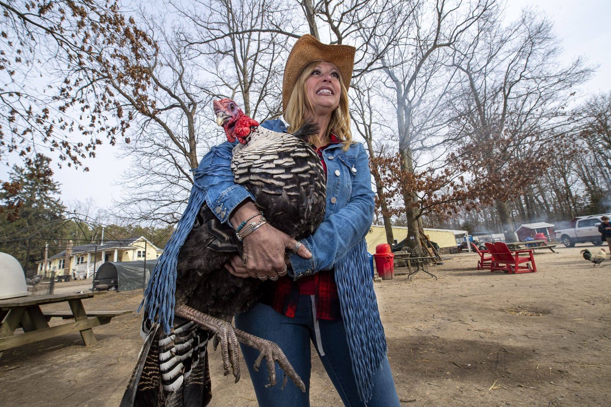 Laurie Zaleski owns a rescue farm in Mays Landing, New Jersey, where 600 animals roam free. Photo: TNS