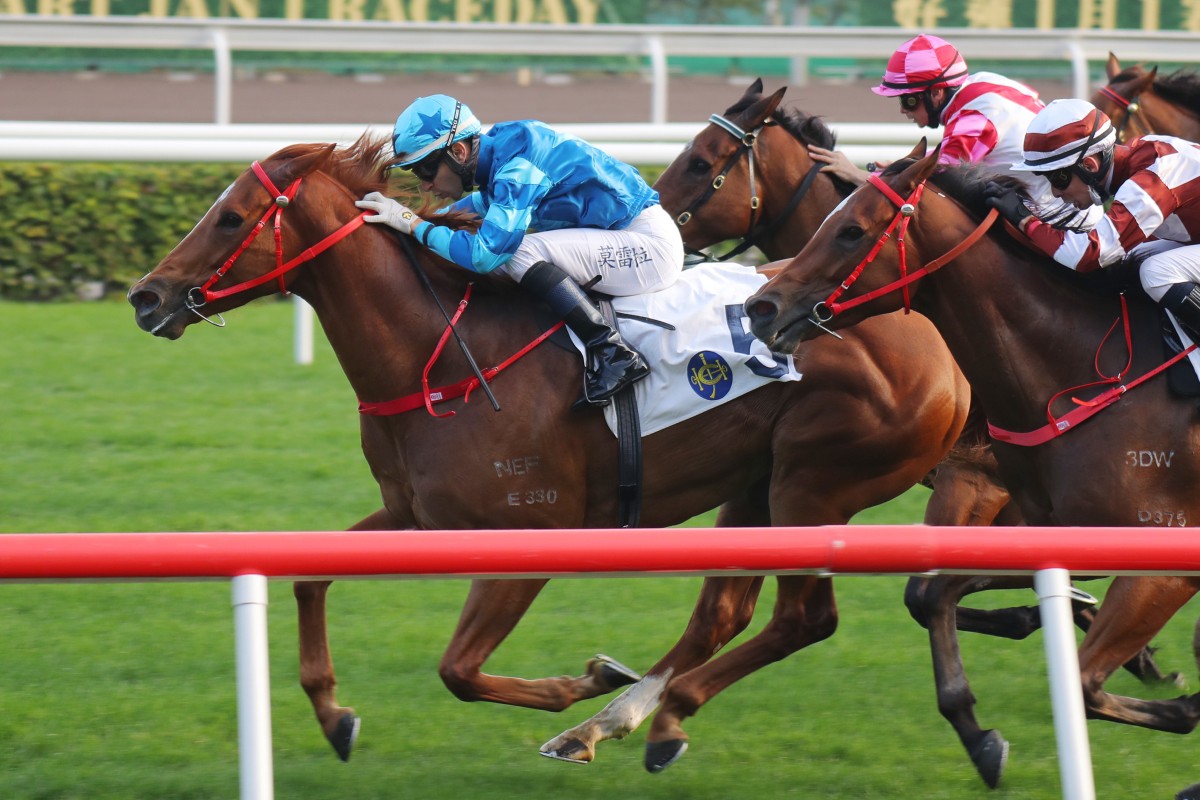 Master Eight wins the Bauhinia Sprint Trophy under Joao Moreira at Sha Tin in January. Photo: Kenneth Chan