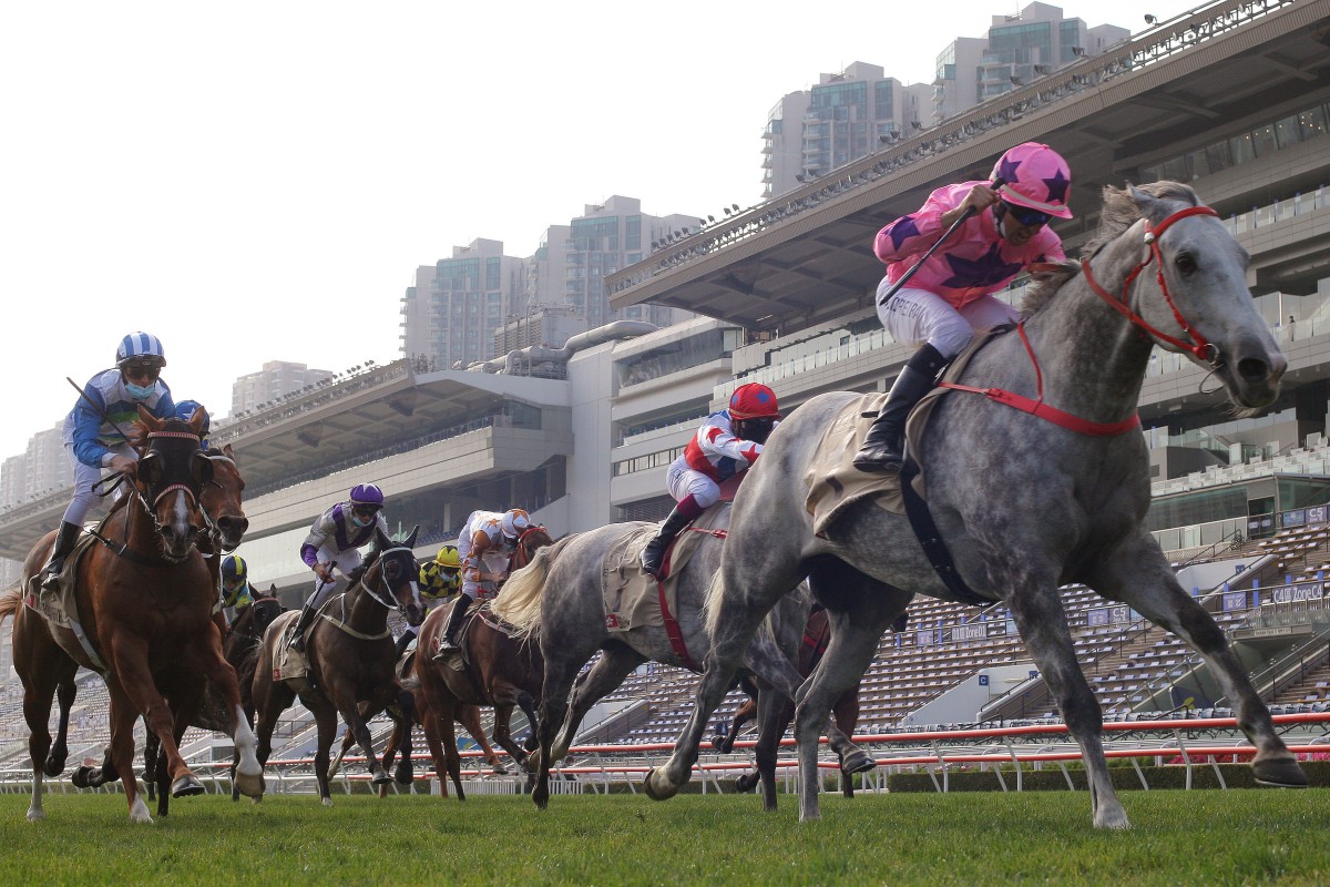 Hot King Prawn wins the 2021 Centenary Sprint Cup under Joao Moreira. Photo: Kenneth Chan