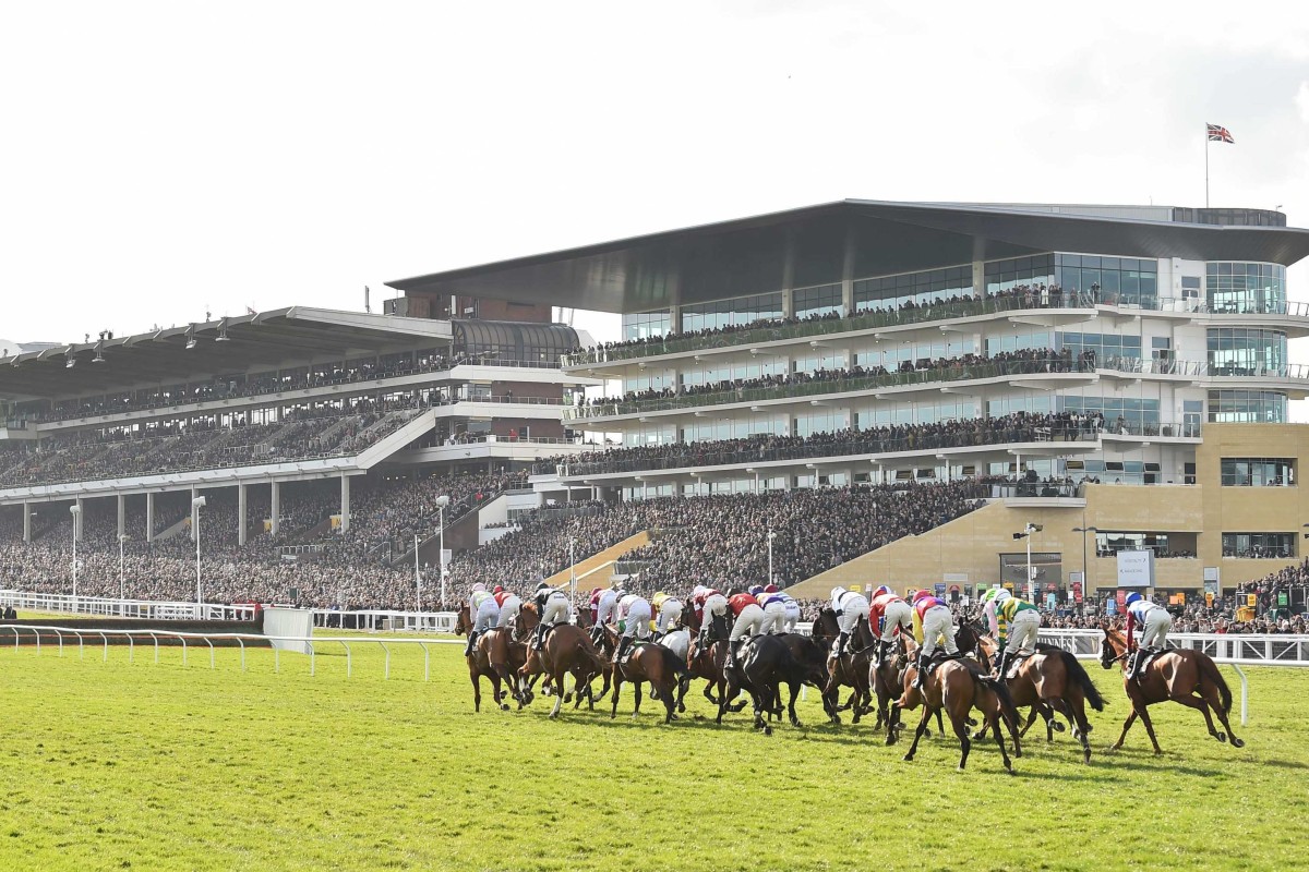 Riders compete in the Albert Bartlett Novices’ Hurdle race on the final day of the Cheltenham Festival in 202. Photo: AFP