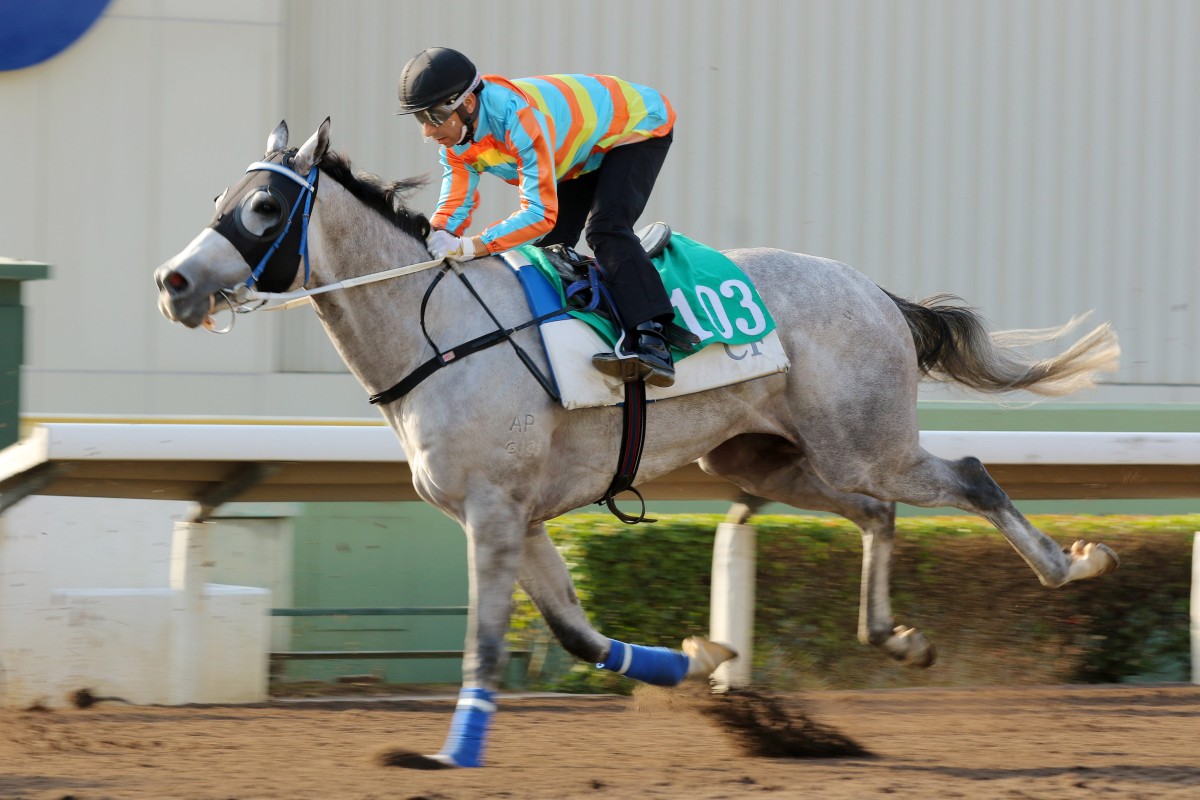 Senor Toba wears blinkers for the first time in the Hong Kong Derby: Photo: Kenneth Chan