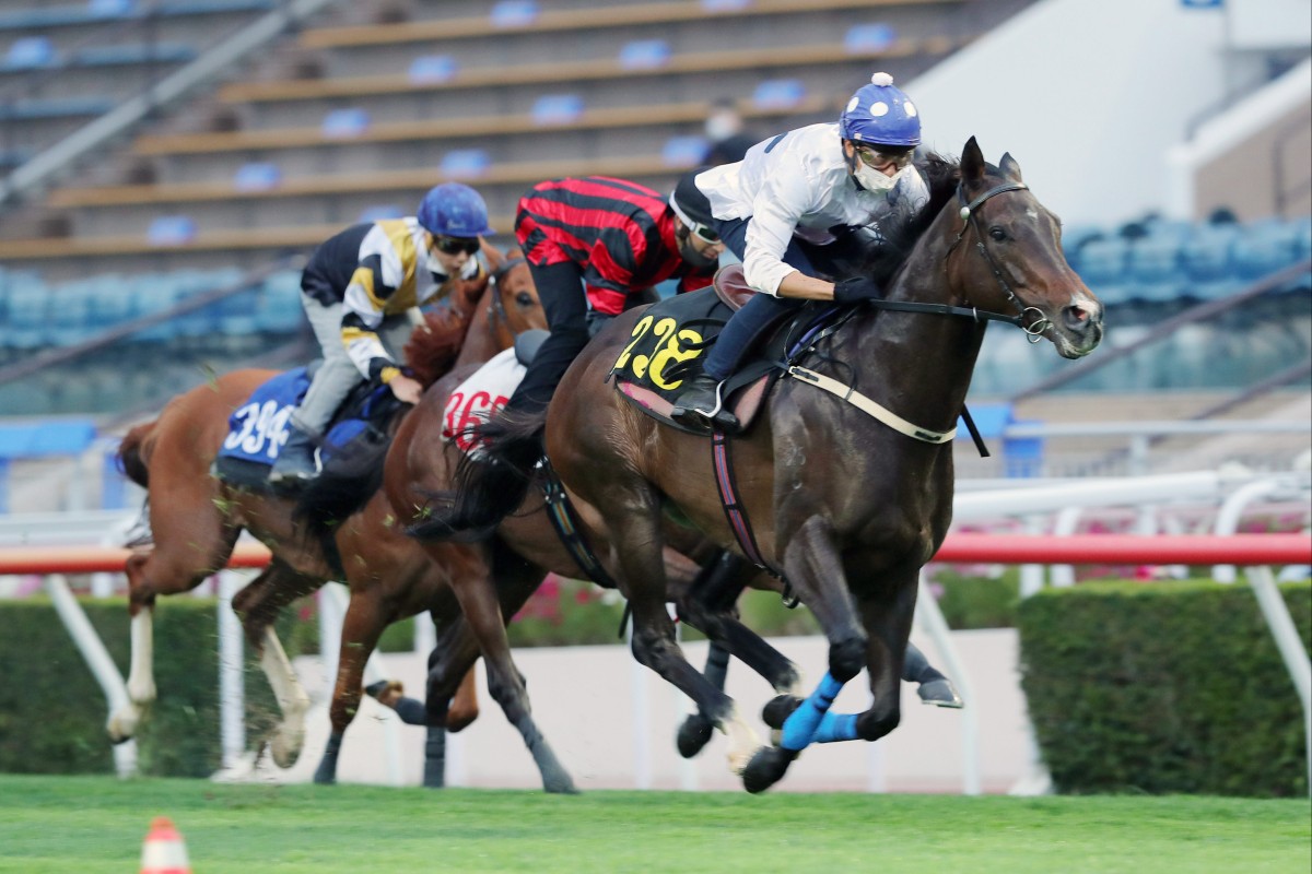 Golden Sixty wins a trial at Sha Tin on Tuesday morning. Photo: Kenneth Chan