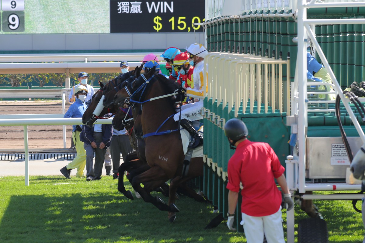 Horses break from the gates at Sha Tin. Photos: Kenneth Chan
