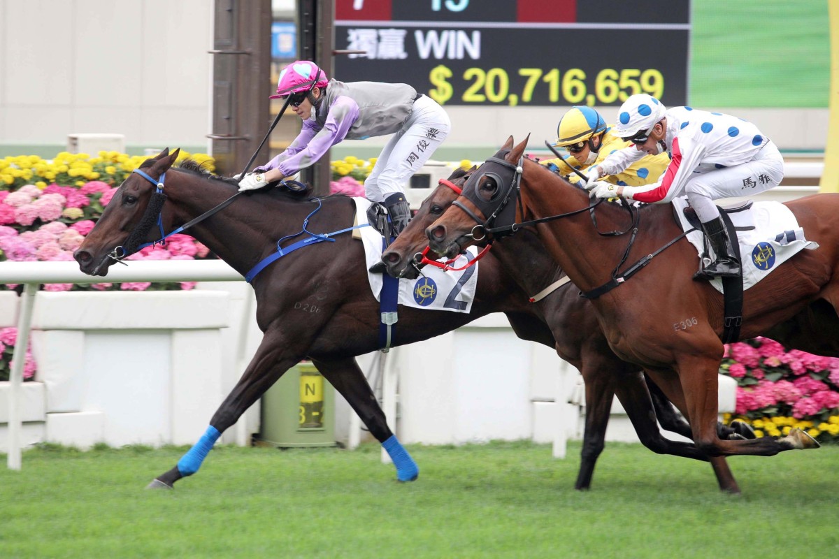 Jerry Chau and My Sugar hold off C P Brave (outside) and E Star to win the most valuable race on the Sha Tin card. Photo: HKJC