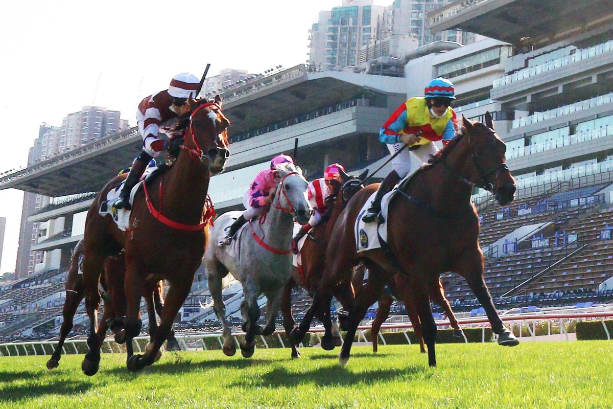Wellington (right) wins the Sprint Cup at Sha Tin on Sunday. Photo: HKJC