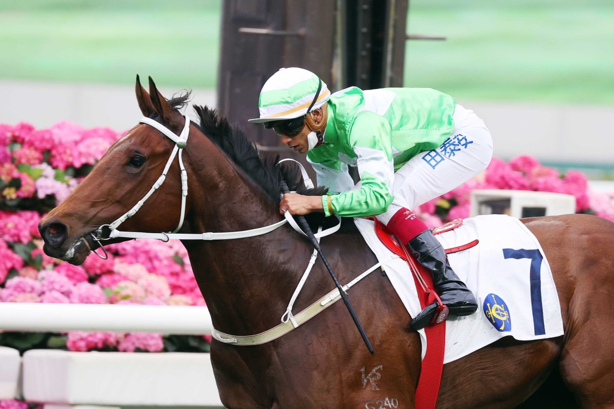 Buzzinga wins on debut under Karis Teetan at Sha Tin. Phots: HKJC