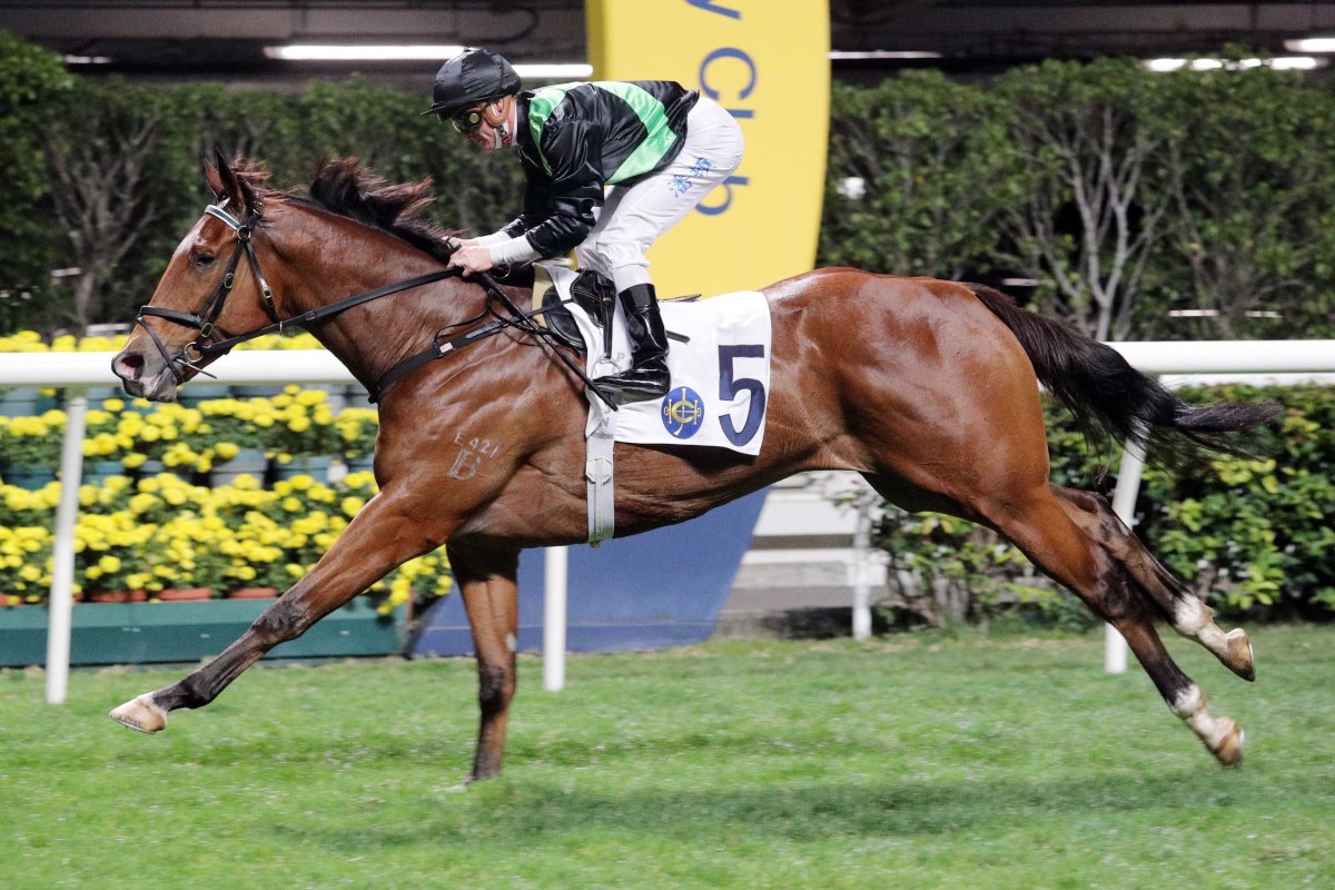 Nervous Witness bounced back to his best with victory on his last start. Photo: HKJC