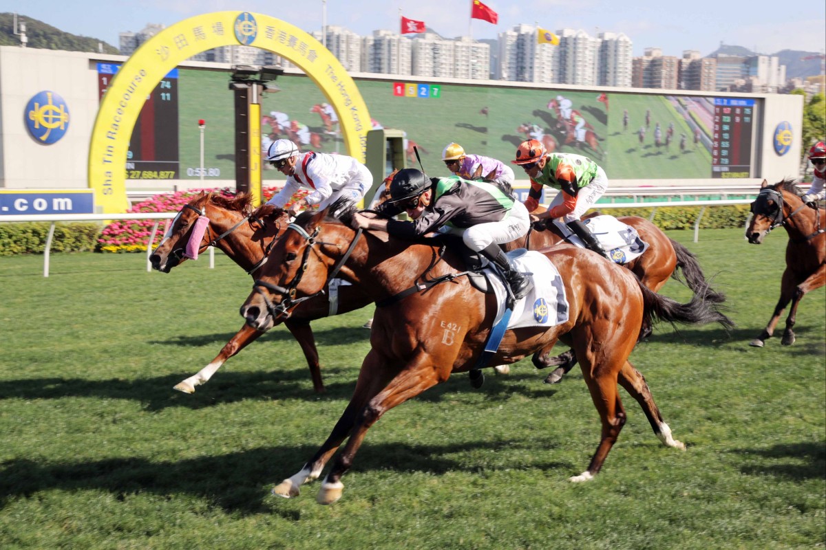 Nervous Witness fights off Stoltz to win at Sha Tin. Photo: HKJC