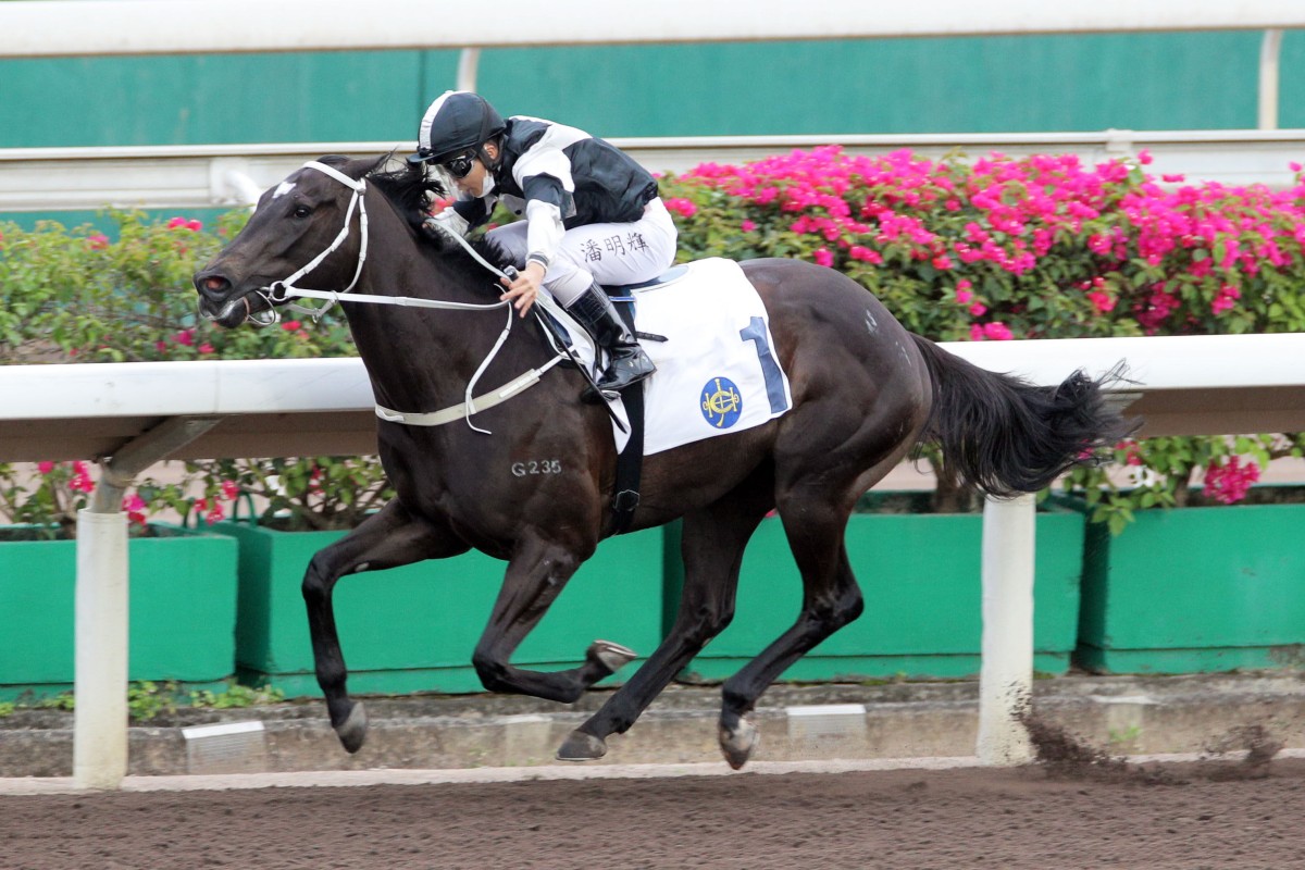 Campione comes well clear of his rivals to win at Sha Tin. Photos: HKJC