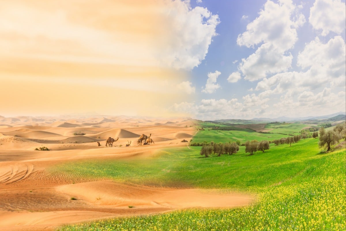 Efforts to combat desertification have been going on for 30 years but have had far less attention than climate change. Photo: Shutterstock