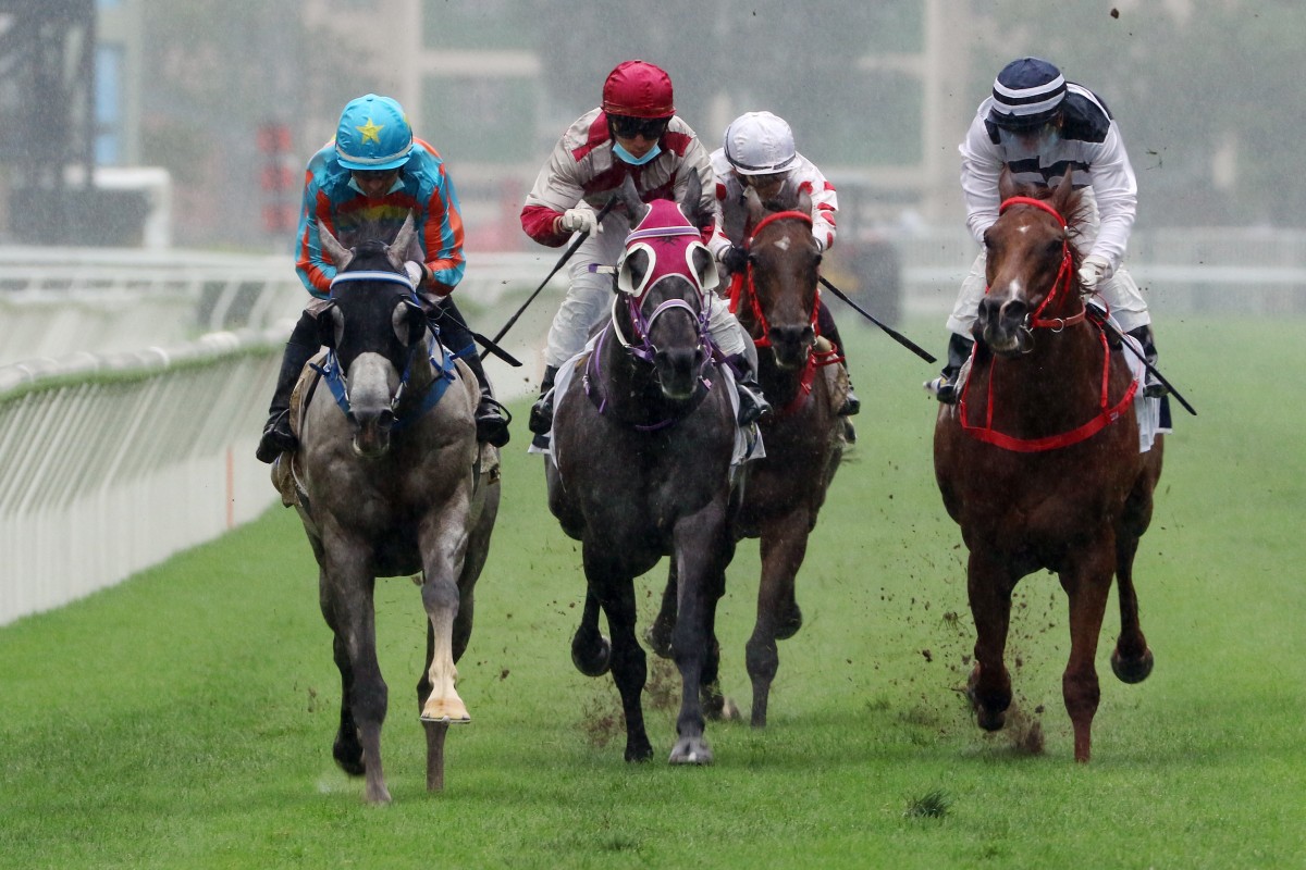Senor Toba (left) wins the Queen Mother Memorial Cup at Sha Tin on Sunday. Photos: Kenneth Chan