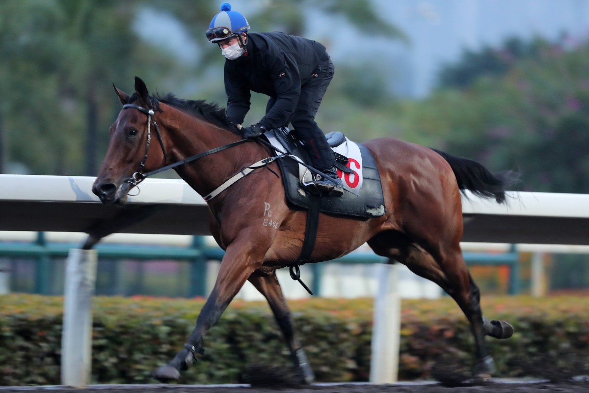 Captain Win gallops on the all-weather track under Zac Purton. Photo: Kenneth Chan