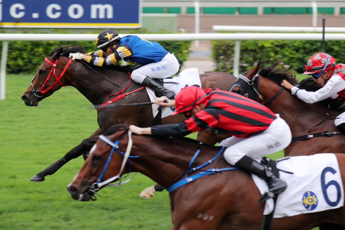 Power Koepp (far side) and Joao Moreira just hold off Seven Heavens to win at Sha Tin. Photo: Kenneth Chan