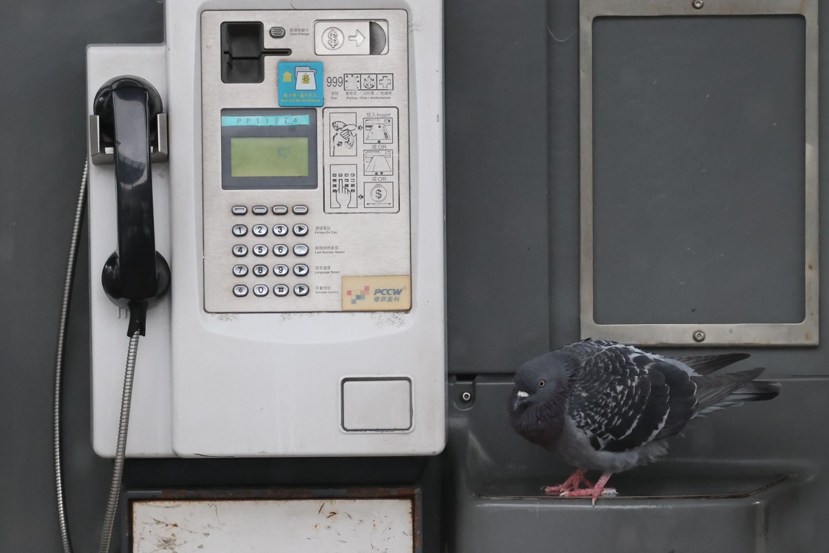 Can you think of a funny caption for this picture? Photo: Nora Tam