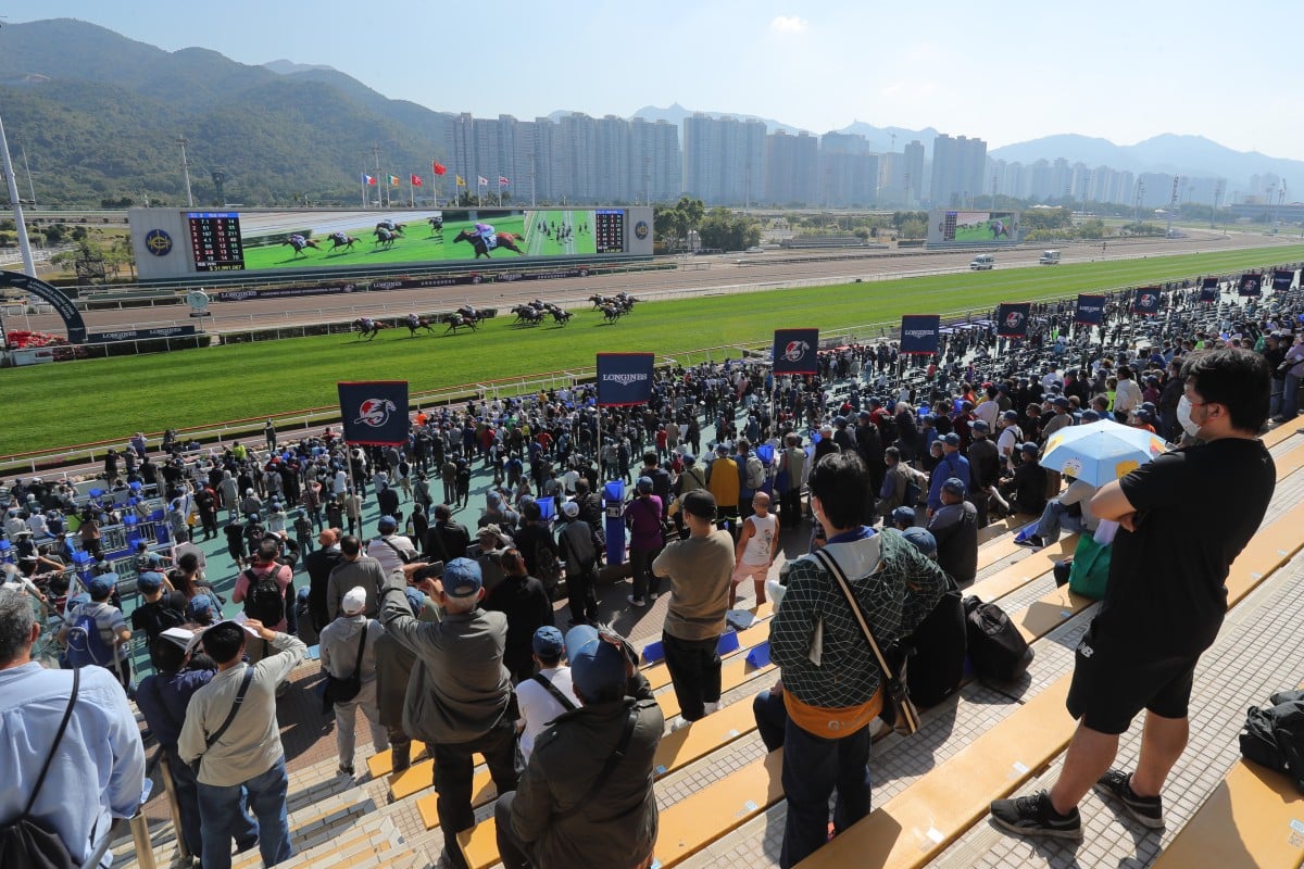 Fans watch on at Sha Tin. Photo: Kenneth Chan