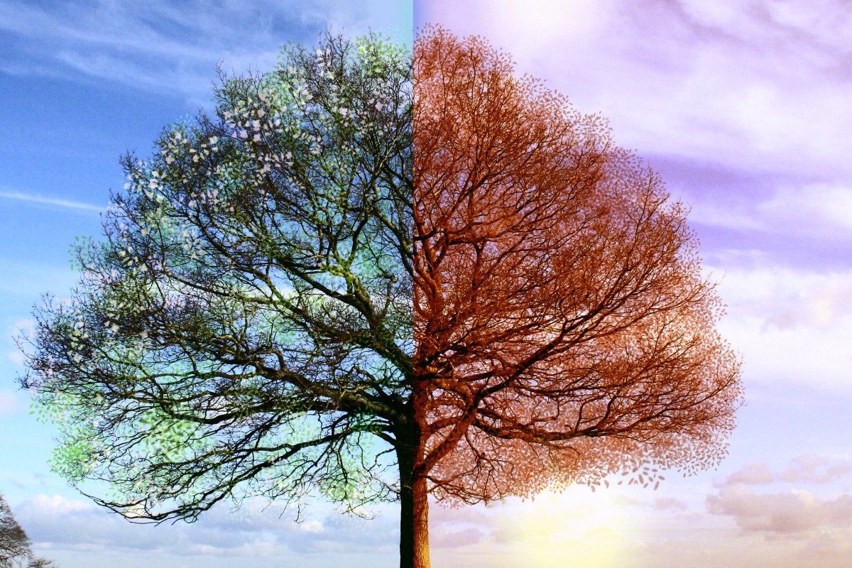 Would you rather it be spring or autumn throughout the year? Photo: Shutterstock