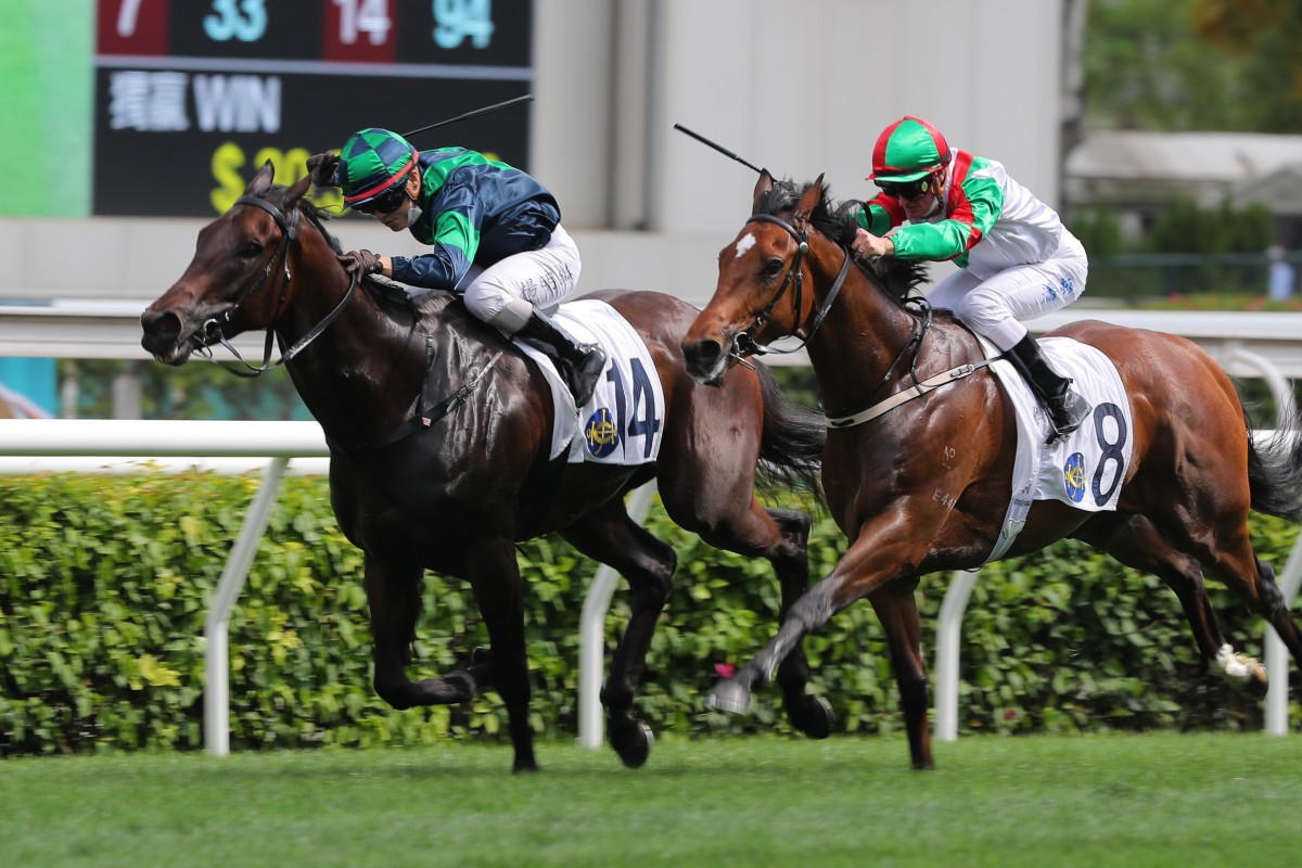 Reve Parisien (left) springs a huge surprise when winning at Sha Tin. Photo: Kenneth Chan