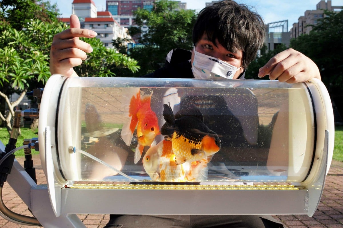 Jerry Huang, a self-described fish enthusiast, poses with his fish tank trolley at a park in Taichung, Taiwan on May 19, 2022. Photo: AFP