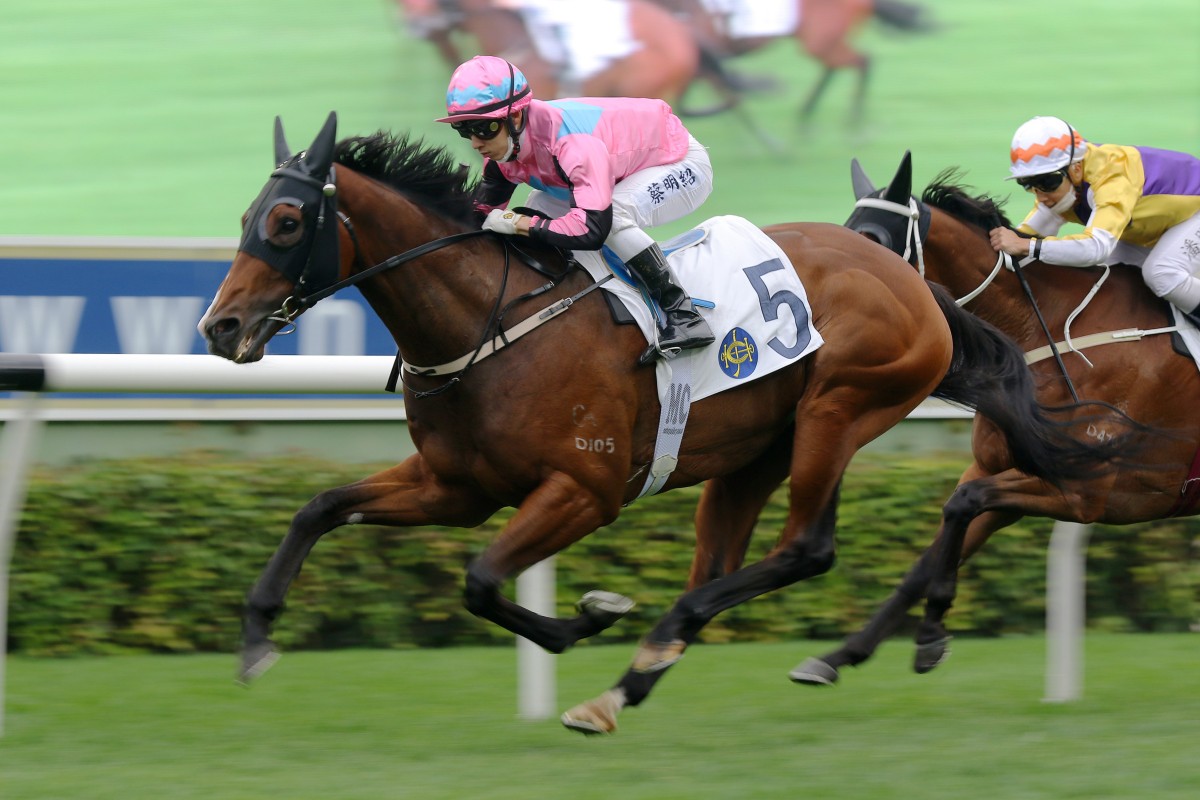 Beluga wins over 1,600m at Sha Tin in January. Photo: Kenneth Chan